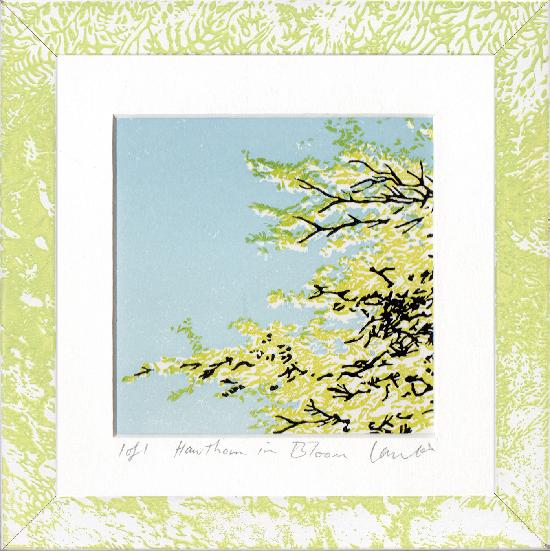 Hawthorn in Bloom - a small print in a hand-printed frame