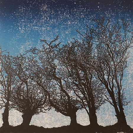 Five Trees at Night