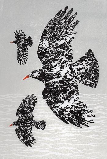 Cornish Choughs