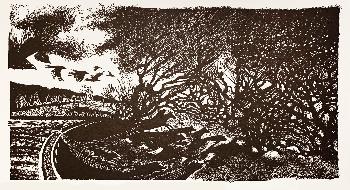 Dartmoor24 / 7-9pm / The Wisht Hunt - black and white edition