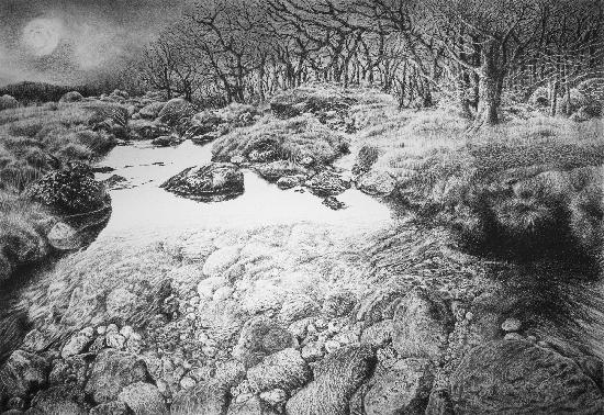 Blackator Copse and the East Okement River