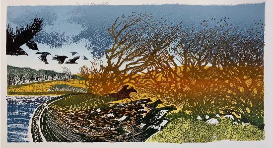 Dartmoor24 / 7-9pm / The Wisht Hunt - colour edition