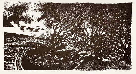 Dartmoor24 / 7-9pm / The Wisht Hunt - black and white edition