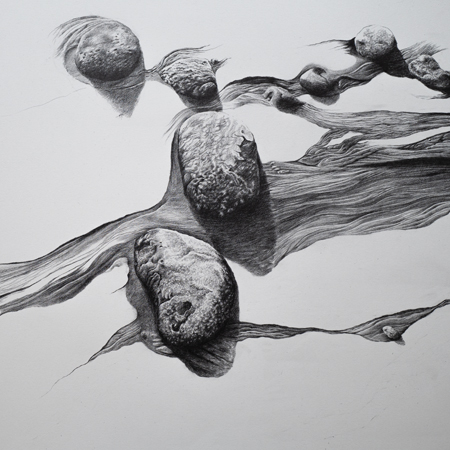 Coverack Boulders (sold)