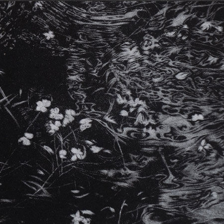 After the Rain - Bellever