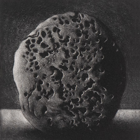 Of Death and Fertility
