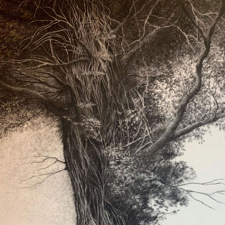 Entanglement