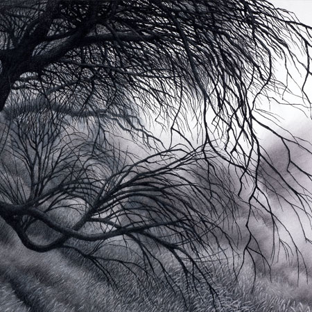 Tamarisk