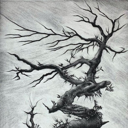 Wistman Oak