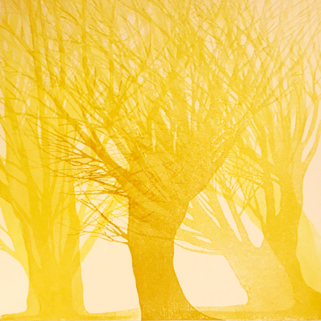 Pollarded Willow