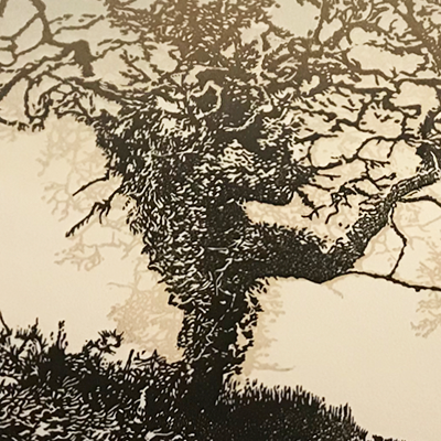 Two Trees - South Hams