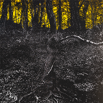 Creating 'The Tree at Anstey's Cove'