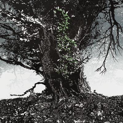 Creating 'Dartmoor Hedgerow #5 - Gidleigh'