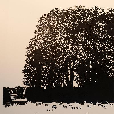 Work in progress: Dartmoor Hedge