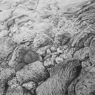 The making of 'Blackator Copse and the East Okement River' - a charcoal drawing