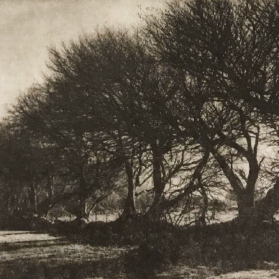 Photopolymer etching